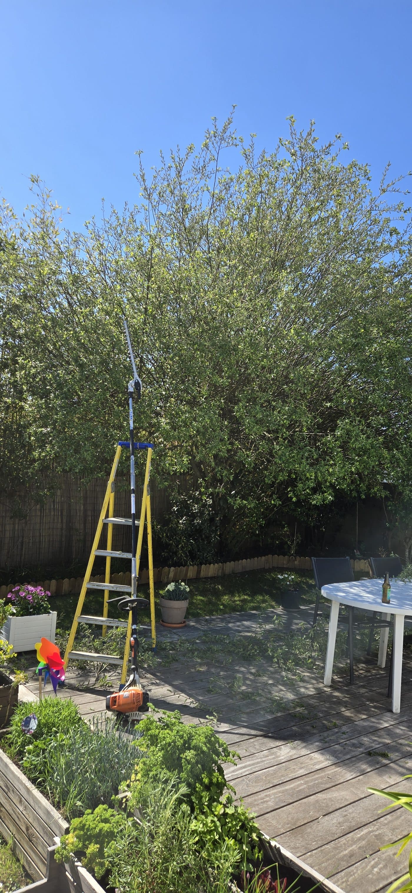 Remise en état complète d'un jardin - avant intervention
