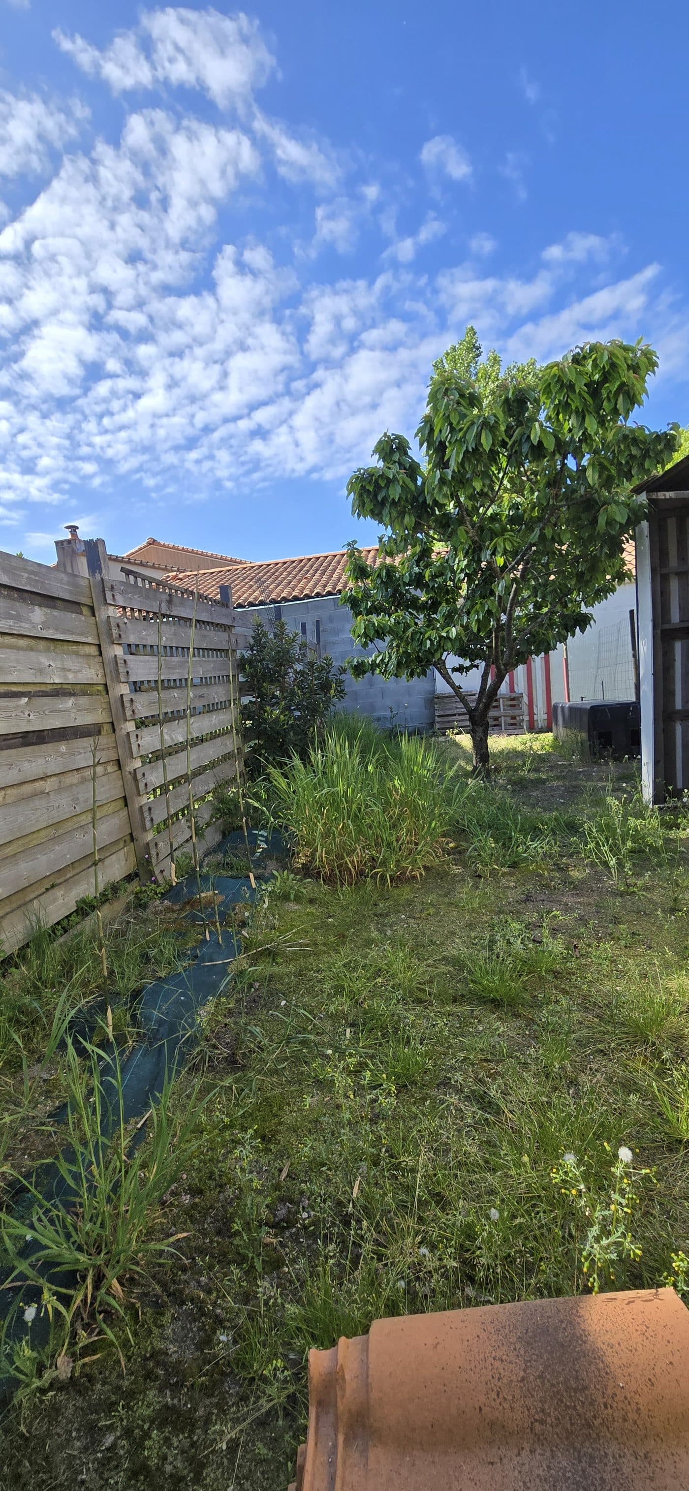 Aménagement d'espace extérieur - avant intervention